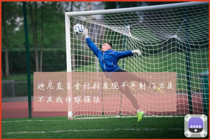 迪尼直言舍什科表现平平射门力度不及我传球强劲