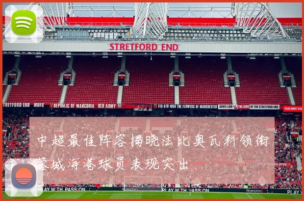 中超最佳阵容揭晓法比奥瓦科领衔蓉城海港球员表现突出
