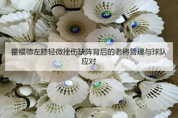霍福德左膝轻微挫伤缺阵背后的老将管理与球队应对 - kaiyun